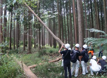 校外授業-森林資源学
